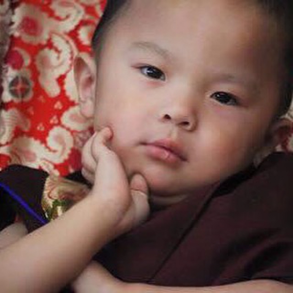 Pema Norbu Rinpoche Keempat
